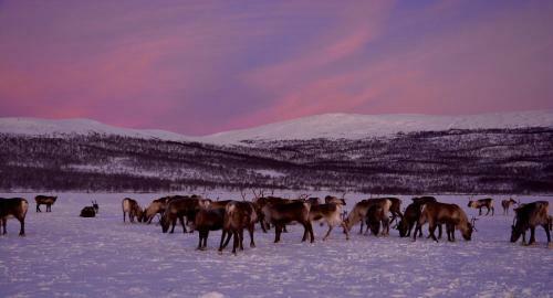 Kilpisj�rven Tunturimajat