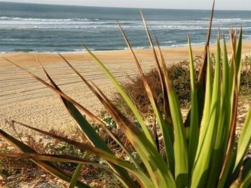 Rental Apartment Les Etangs I