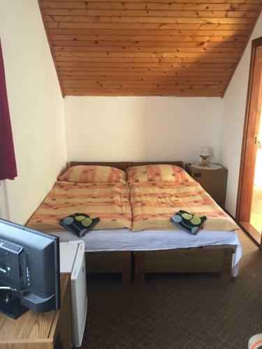 Hostal Ilona Panzi�