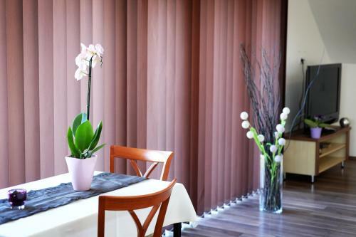 Apartamento Szal�ki �d�l?h�z