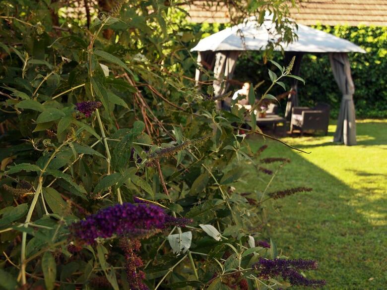 Hostal Malom-t� Guest House Tapolca
