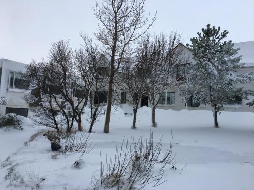 Solgardur Apartments