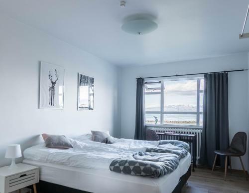 Apartamento Puffin Palace Guesthouse