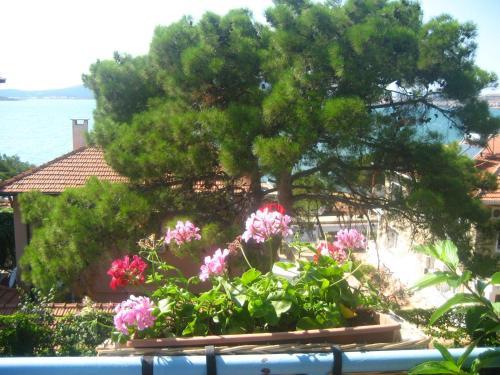 Residencia Mavi Pansiyon