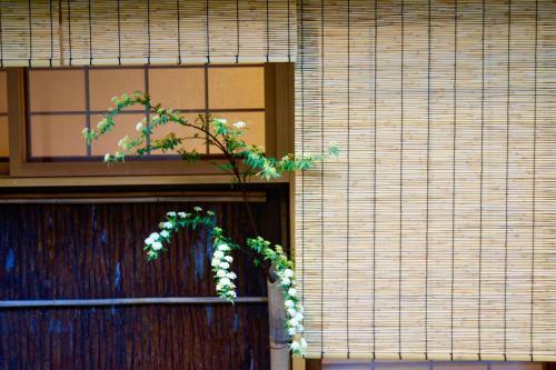 Bed & Breakfast Mitsuki Kyoto