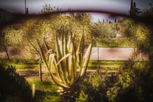 Aparthotel Residence Il Mandorlo