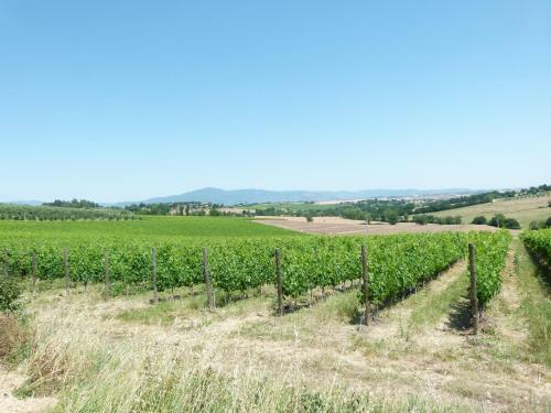 Agroturismo B&B Villa Luogoceleste