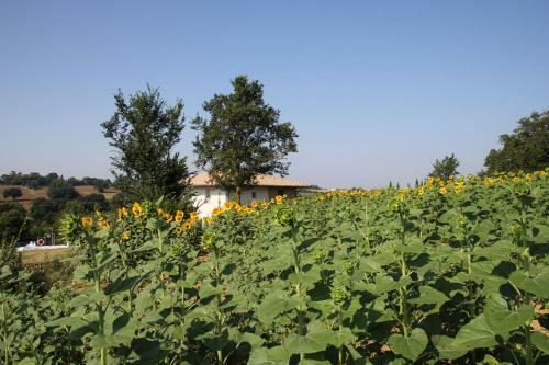 Agroturismo B&B Villa Luogoceleste