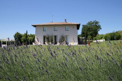 Agroturismo B&B Villa Luogoceleste