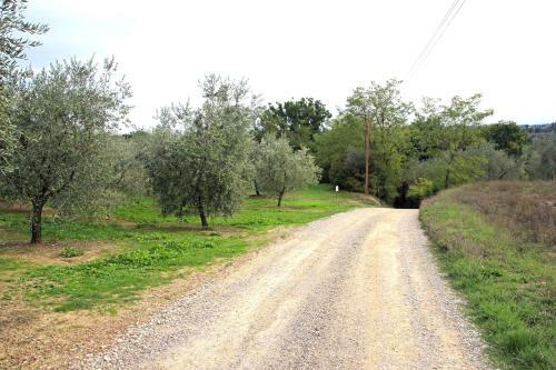 Agroturismo B&B Villa Luogoceleste