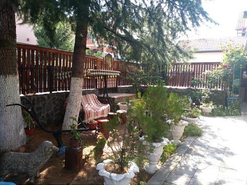 Apartamento Durmitor