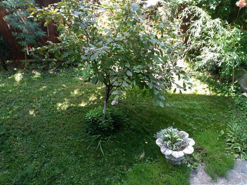 Apartamento Durmitor