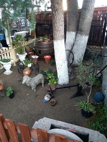 Apartamento Durmitor