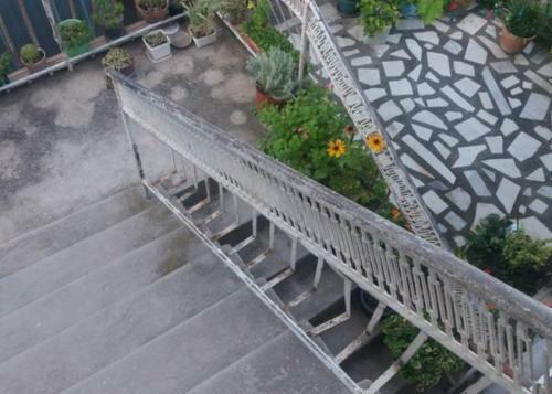 Apartmani Stefi