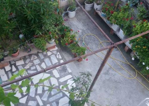 Apartmani Stefi