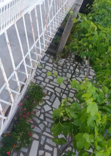 Apartmani Stefi