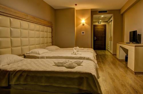 Mirage Hotel & Spa - Struga