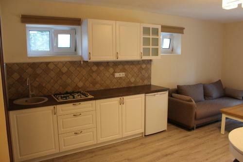 Apartamentai Vanagup?s Rajone