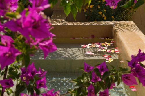 Riad Cinnamon By Marrakech Riad