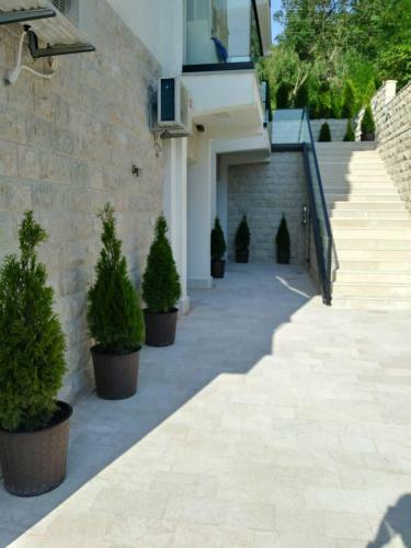 Hostal Guesthouse Montex