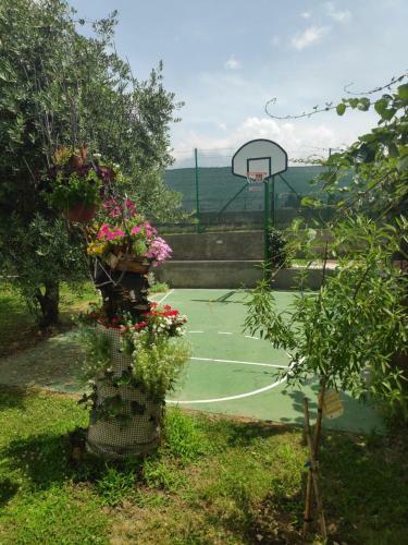 Leisure House Jovovic