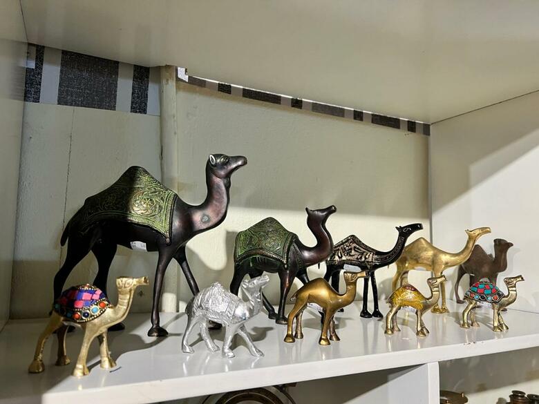 Arabian Oryx Camp