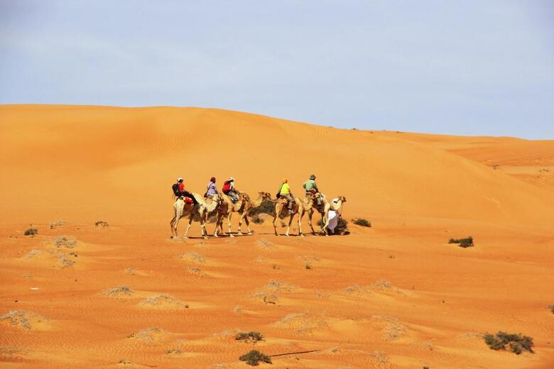 Arabian Oryx Camp
