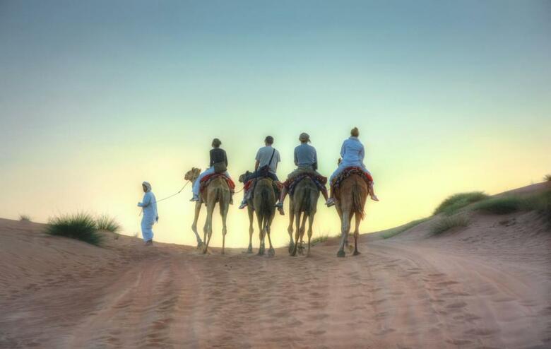 Arabian Oryx Camp