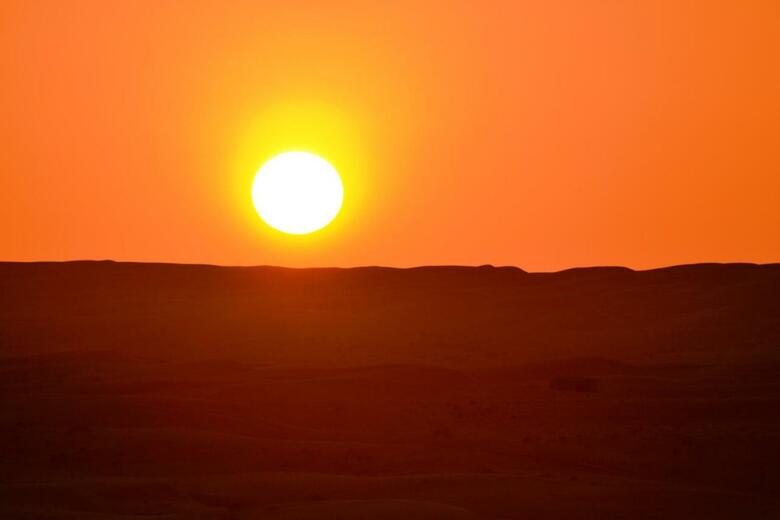 Arabian Oryx Camp