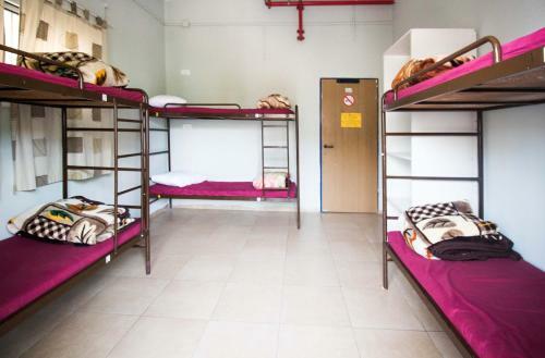 Albergue Hayarkon 48