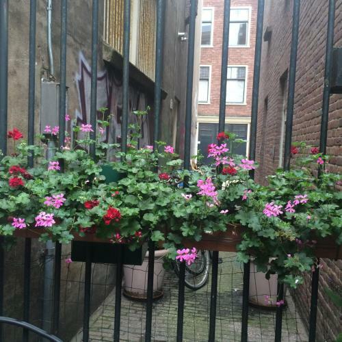 Apartamento Rose 170