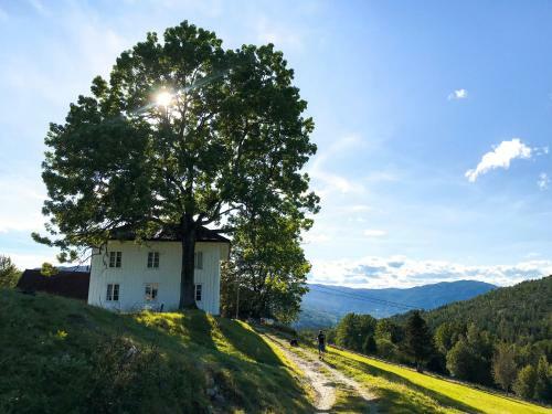Agroturismo Tjonnas Farm Stay