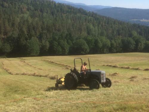 Agroturismo Tjonnas Farm Stay