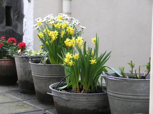B&B Singel 100