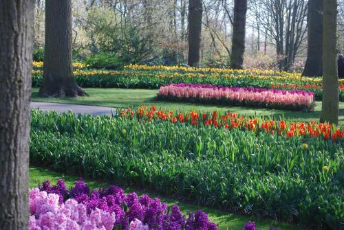Vakantiepark Delftse Hout