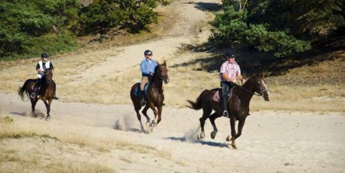 Agroturismo De Distelhoeve