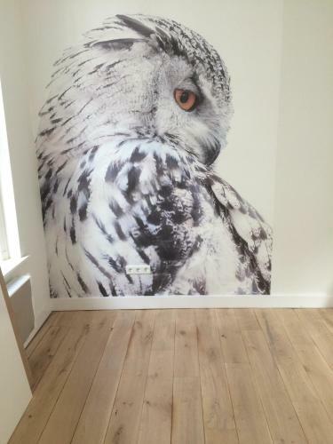 Bed & Breakfast Boetiek Hotel Kampen