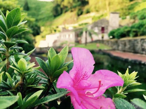 Agroturismo Ribeira Dos Caldeir�es