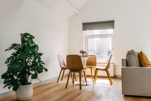 King Kong Hostel