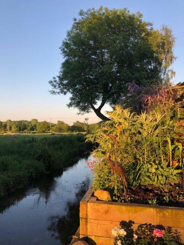 Waterfield House B&B