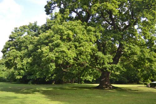 Hotel Gilwell Park