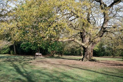 Hotel Gilwell Park