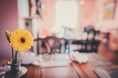 Bed & Breakfast Sidney House