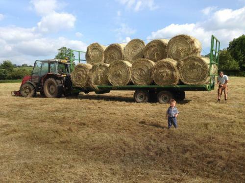 Rew Farm Country & Equestrian Accommodation