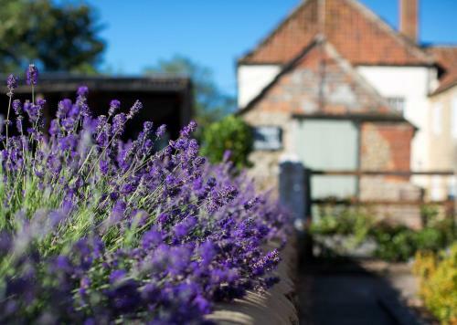 Rew Farm Country & Equestrian Accommodation
