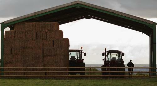 Rew Farm Country & Equestrian Accommodation