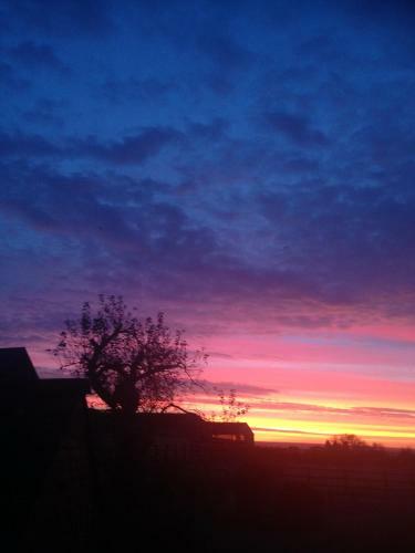Rew Farm Country & Equestrian Accommodation