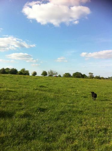Rew Farm Country & Equestrian Accommodation
