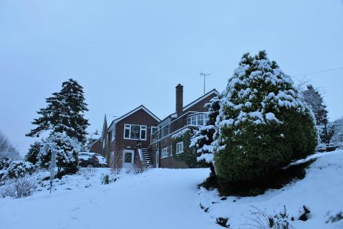 The Warren B&B