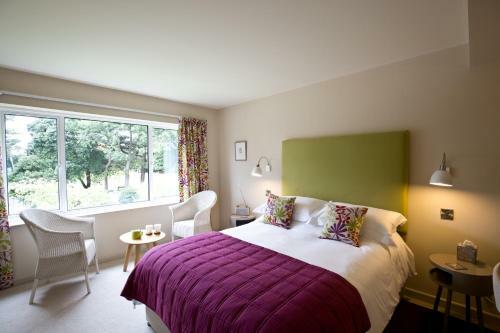 Hostal The Park